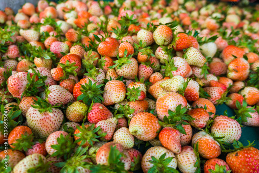 Strawberry fruit spread on table for sell Strawberry fruit spread on table for sell