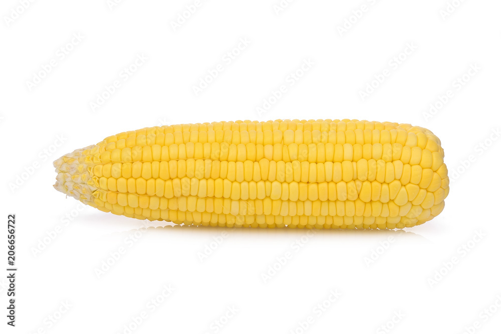 single raw corn isolated on white background single raw corn isolated on white background