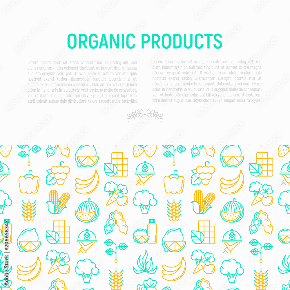 Organic products concept with thin line icons: corn, peas, raw cafe, broccoli, grapes, sprouts, seaweed, watermelon, bananas, fresh juice. strawberry. Modern vector illustration for vegetable shop.