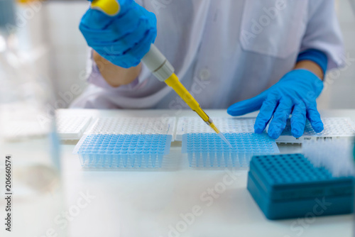 Close-up for hands of a researcher pipetting samples in micro plate; woman scientist in lab holding a 96 well plate with samples for analysis. photo