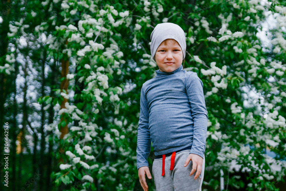 ittle boy on a background of flowering cherry ittle boy on a background of flowering cherry