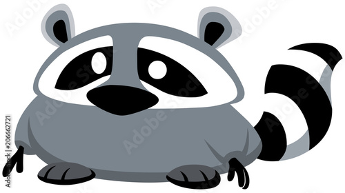 raccoon design