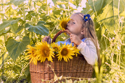 Happy child girl sitting in basket with sunflowers. Sunny light playing onfield.  Family outdoor lifestyle. Summer cozy mood. photo