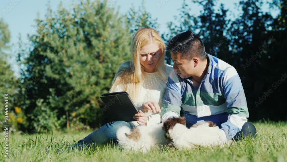 Young couple working with tablet in their backyard. Next run puppies Young couple working with tablet in their backyard. Next run puppies