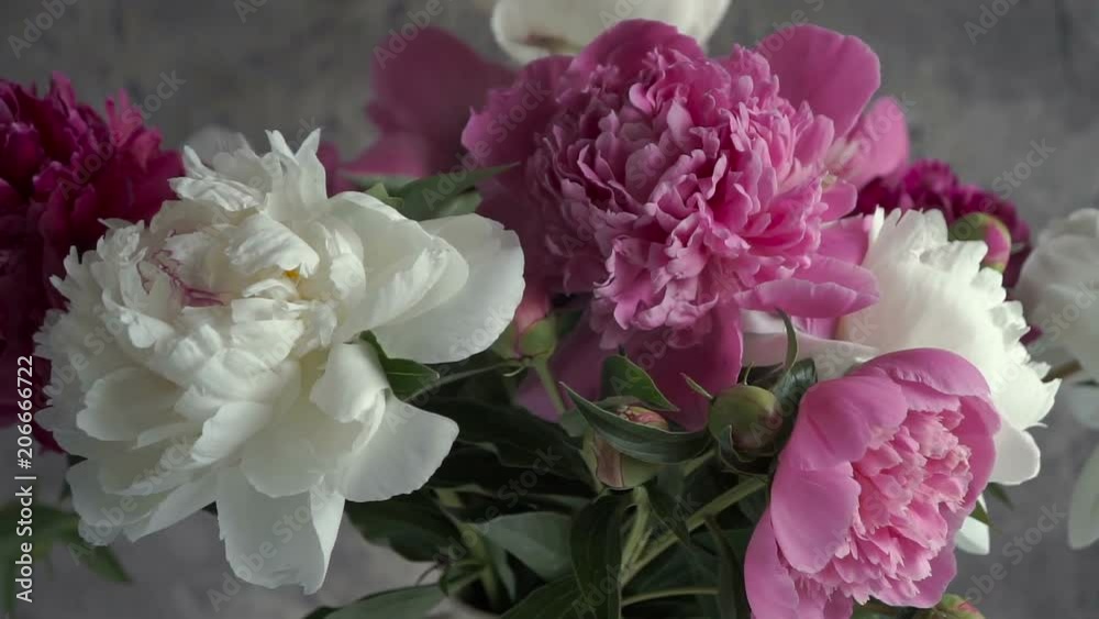Bouquet of colored peony in vase. Fresh garden peonies. Bouquet of colored peony in vase. Fresh garden peonies.