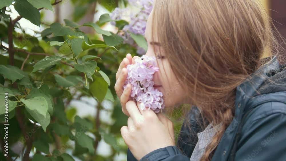 Blooming lilac, girl enjoying the smell of flowers Blooming lilac, girl enjoying the smell of flowers