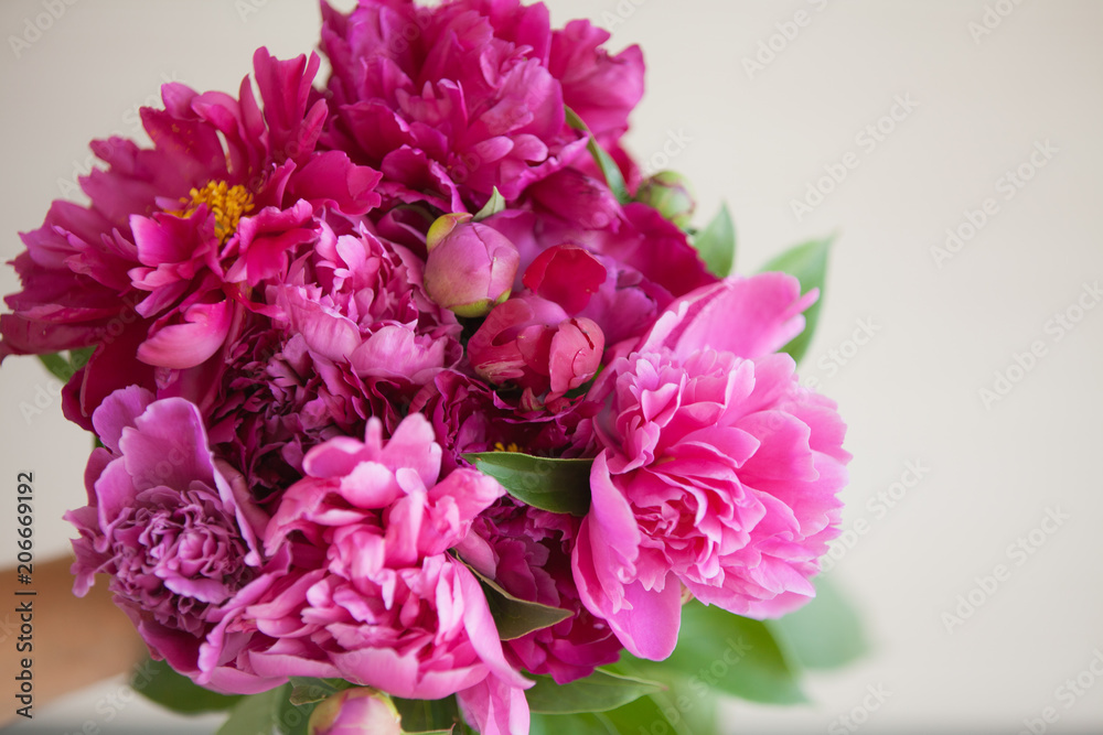  Beautiful peonies on a white background. An armful of house flowers.