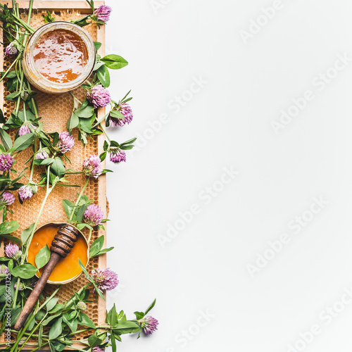 Honey in jar with dipper  honeycomb frame and wild flowers on white background  top view. Healthy  food  flat lay  border  vertical