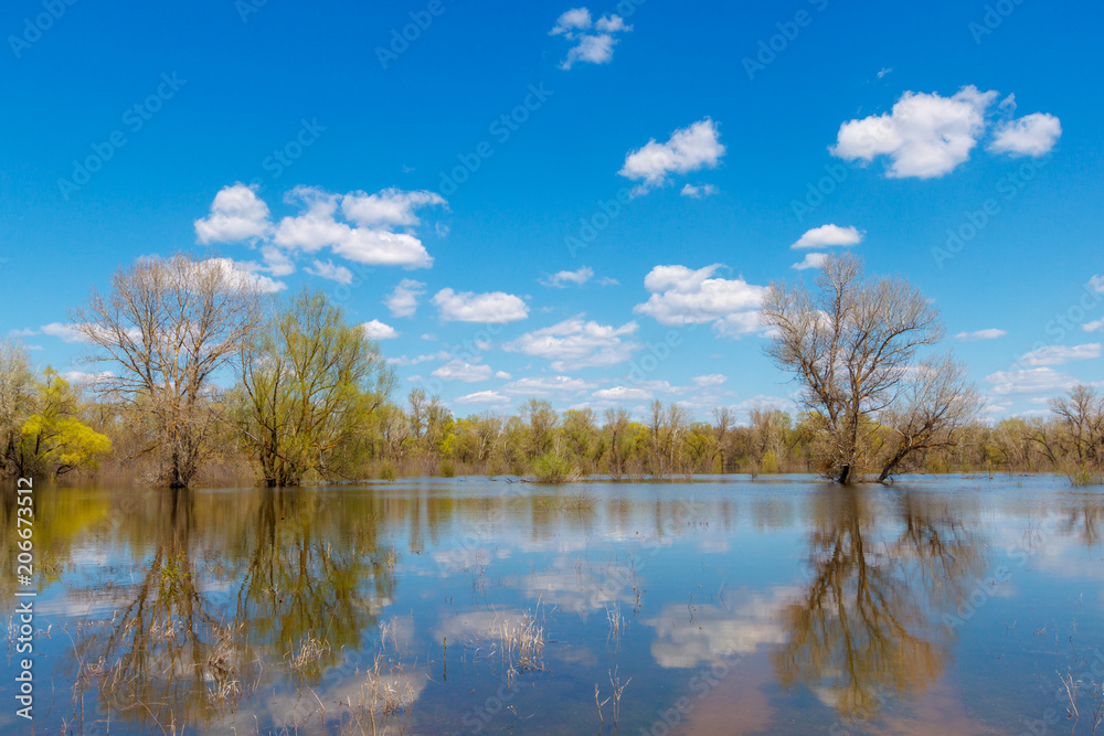 Beautiful daylight landscape with trees flooded with water. River Don, Russia
