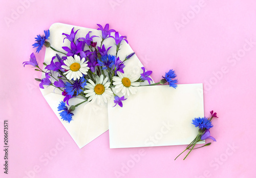 Beautiful flowers chamomiles, bellflowers, cornflowers in postal envelope and blank sheet with space for text on a pink paper background. Top view, flat lay