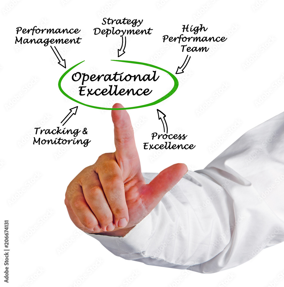 Components of Operational Excellence. Components of Operational Excellence.