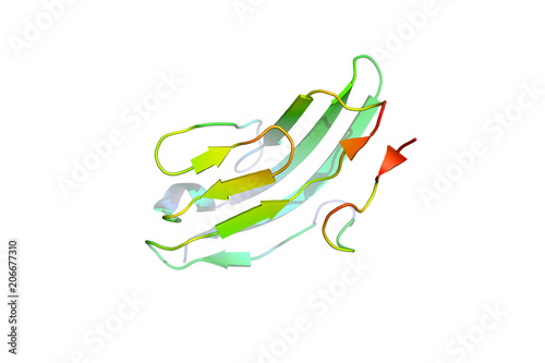 The crystal structure of the tumor marker protein.