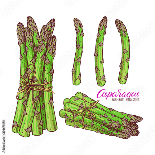 set of asparagus