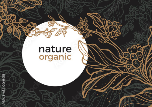Vector coffee tree branch. Sketch template