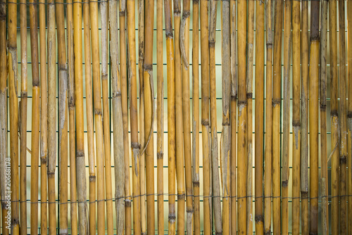 Arella in bamboo / recinzione