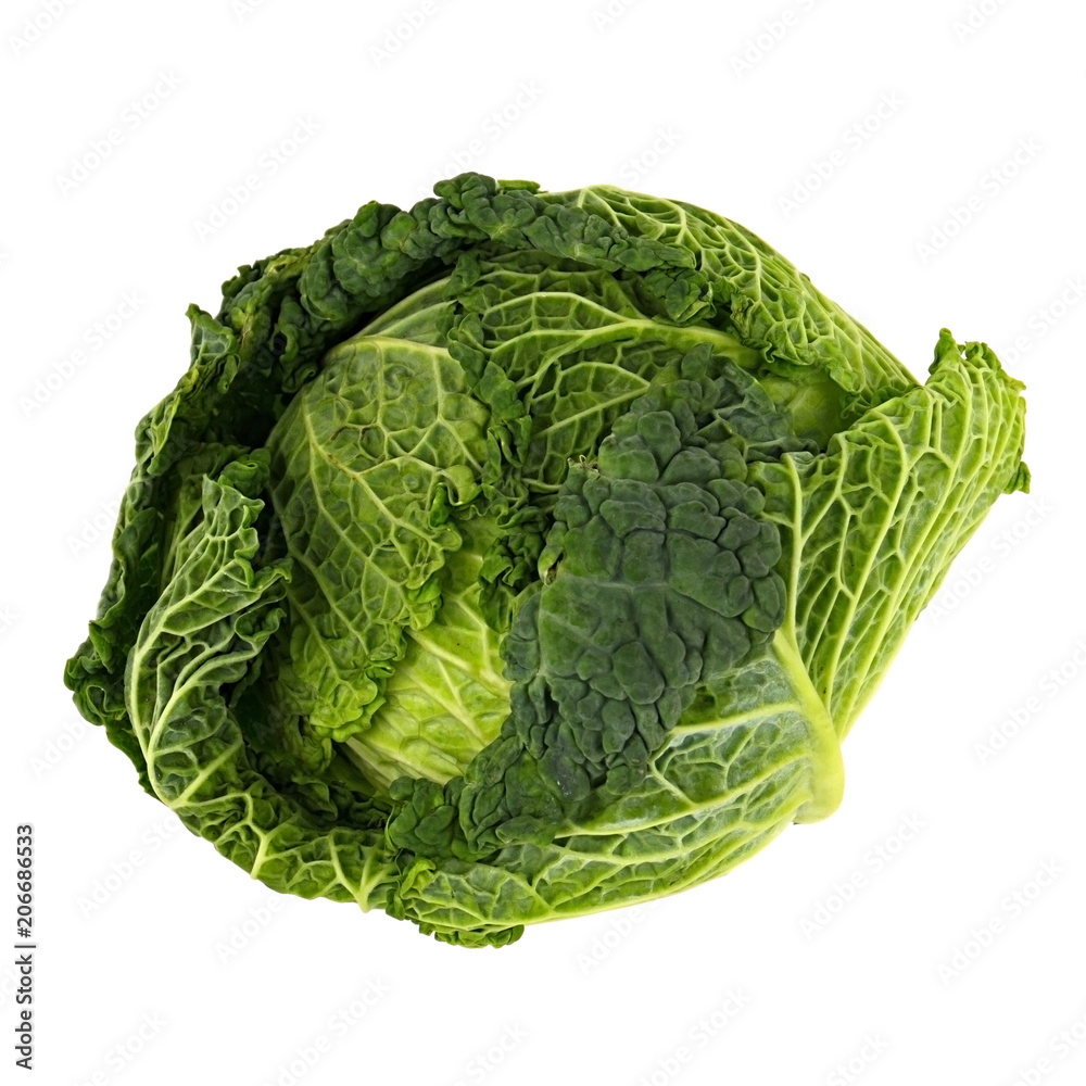 Fototapeta premium Cabbage on white