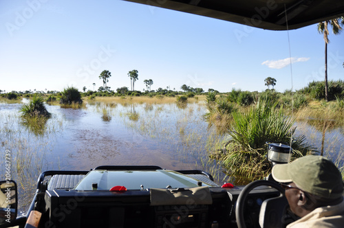 Auf Safari im Okavango Delta. On safari in the Okavango-Delta