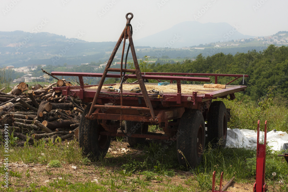 Fototapeta premium Farm wagon