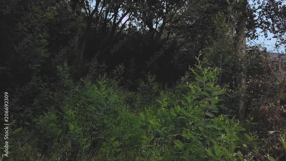 DRONE BETWEEN NATURE DRONE BETWEEN NATURE