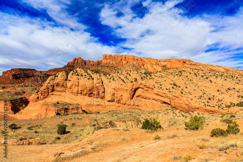 Arizona desert landscape