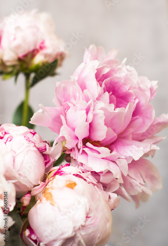 bunch of pink peony flowers on light background