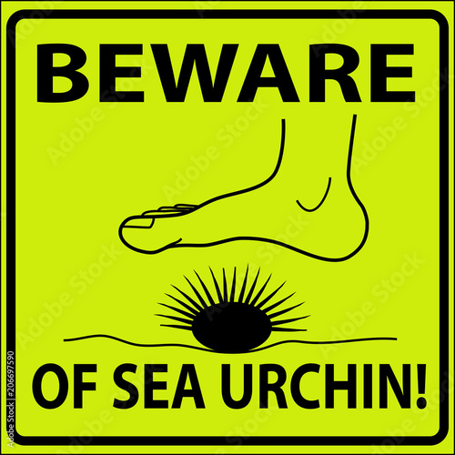 vector illustration of beware of sea urchin sign