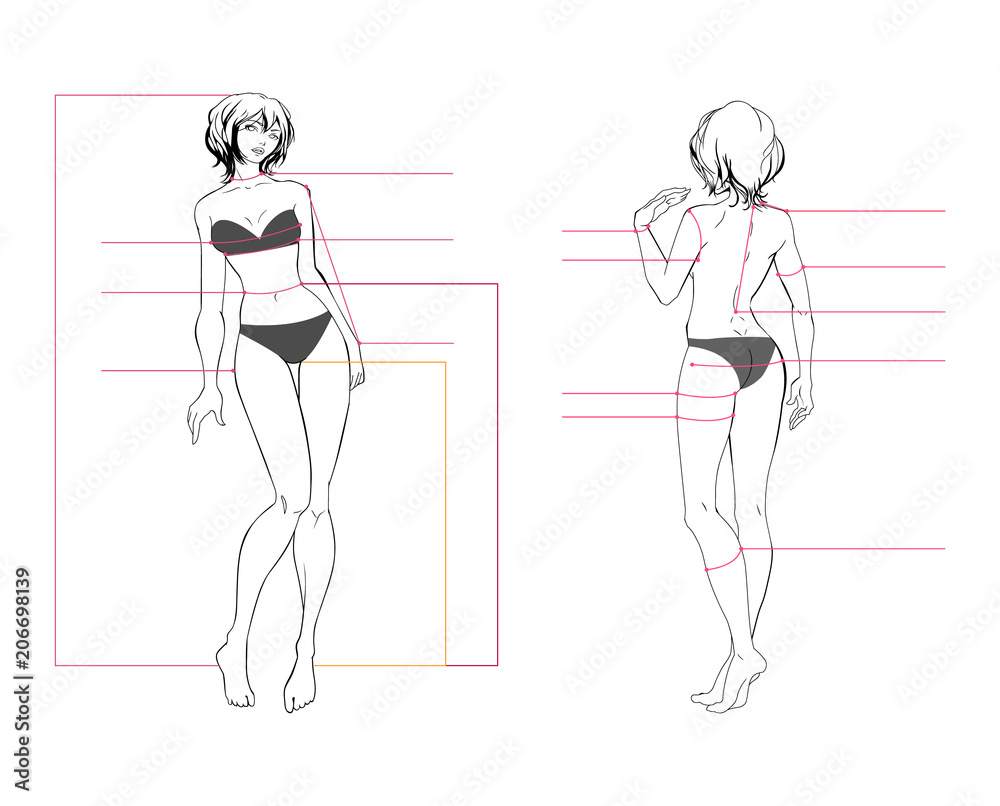 Woman body measurement chart. Scheme for measurement human body for sewing  clothes. Female figure: front view, back view. Template for dieting,  fitness. The vector drawing without background. Stock Vector | Adobe Stock
