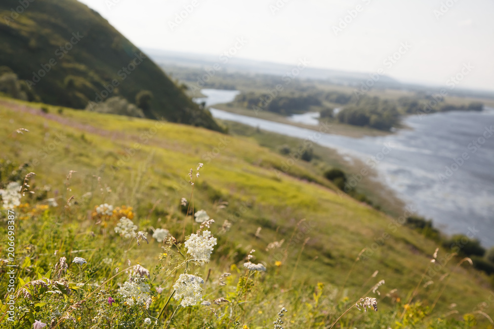 Fototapeta premium Panorama of beautiful summer landscape with river