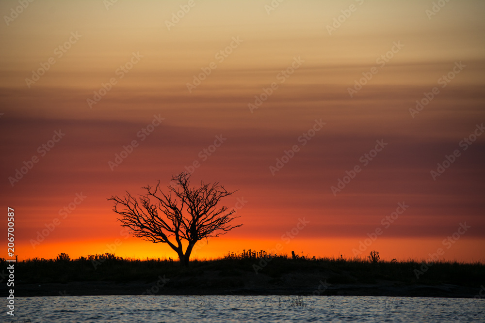 Naklejka premium Silueta en el atardecer