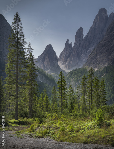 Fischleintal - Dolomiten - Schroffe, bizarre Berglandschaft mit solitären Bäumen und grünen Pflanzen und Schotterweg im Vordergrund photo