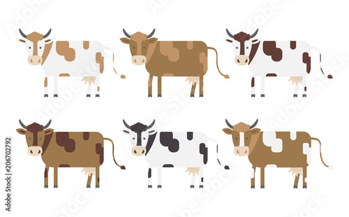 Vector set of cows.