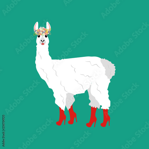 Llama in boots