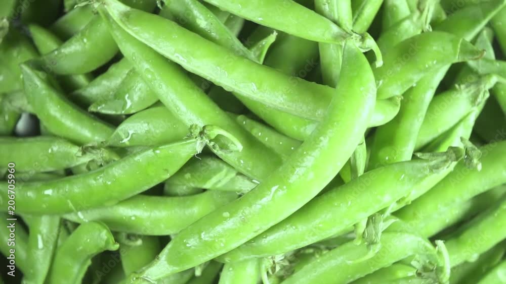 Slow motion drops of water on green peas pods rotating in a circle Slow motion drops of water on green peas pods rotating in a circle