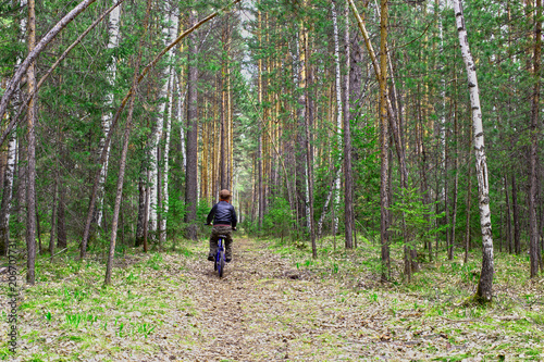 a little boy travels through the forest with a bike © avtk