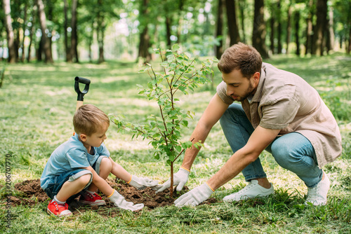 Photo side view of father and son planting tree at park