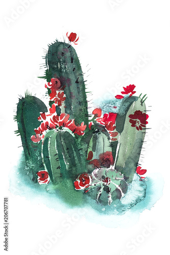 Watercolor hand drawn spiky cactus bloom flower.