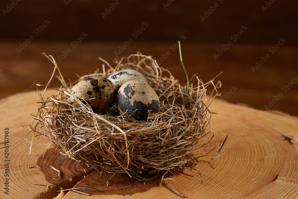 Obraz premium Conceptual still-life with quail eggs in hay nest on a log, close up, selective focus
