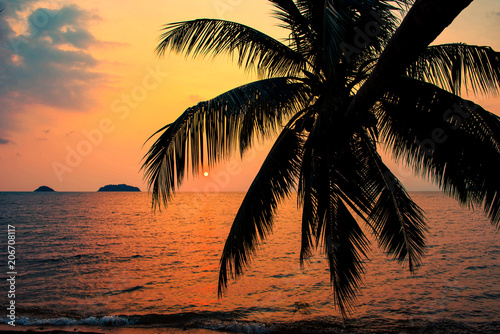 Beautiful coconut palm tree with evening light by the sea and tropical beach.