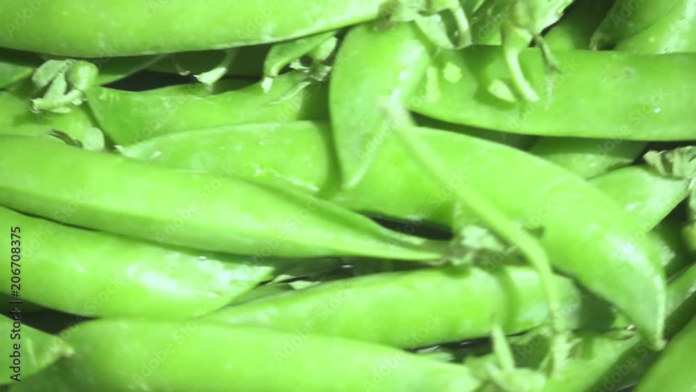 Brightly highlighted pods green peas rotate to the right slow motion Brightly highlighted pods green peas rotate to the right slow motion