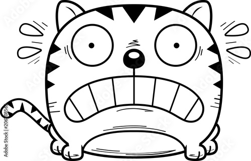 Terrified Little Cat