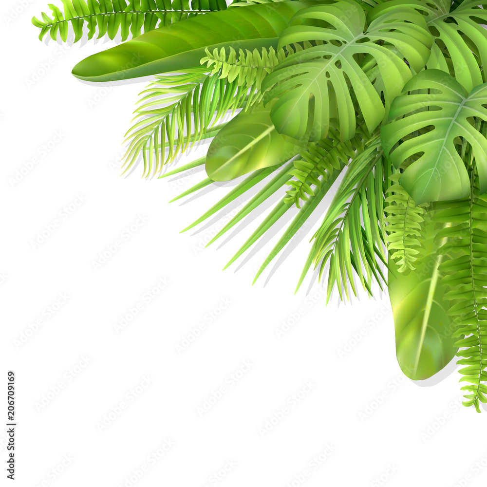 Fototapeta premium Tropical leaves in a corner. Foliage of exotic plants. Vector realistic illustration for decorating a greeting card, invitation or flyer.