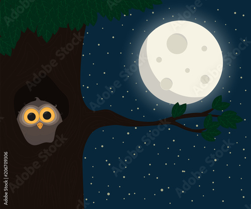 cute owl sit at hollow under the moon