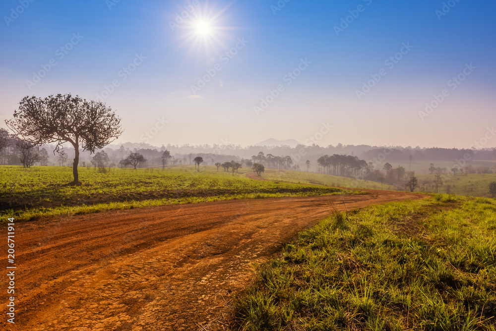 Savanna in National Park of Thailand named Thung Salaeng Luang Savanna in National Park of Thailand named Thung Salaeng Luang