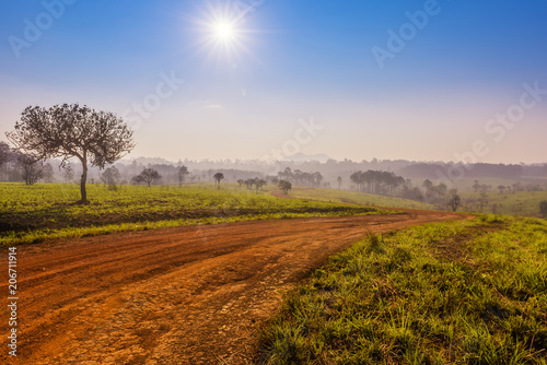 Savanna in National Park of Thailand named Thung Salaeng Luang