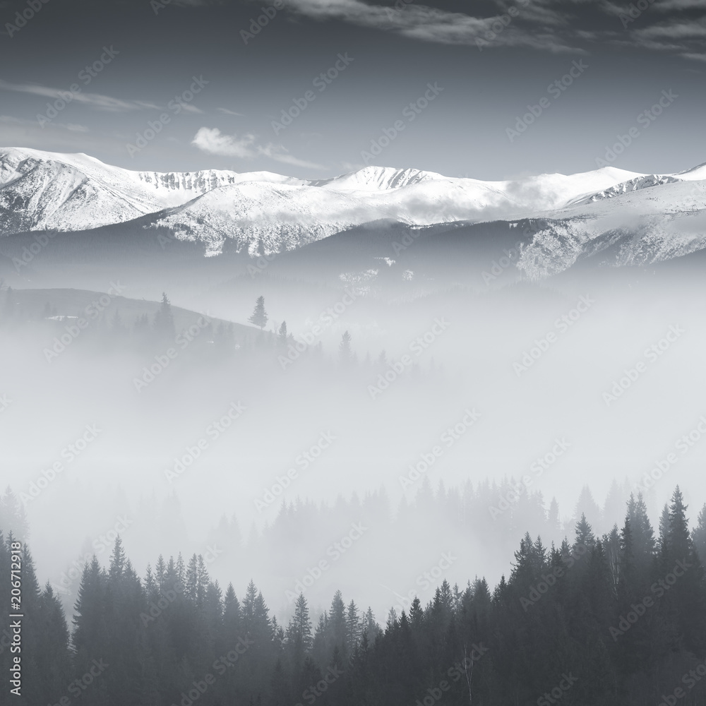 BW landscape with fog