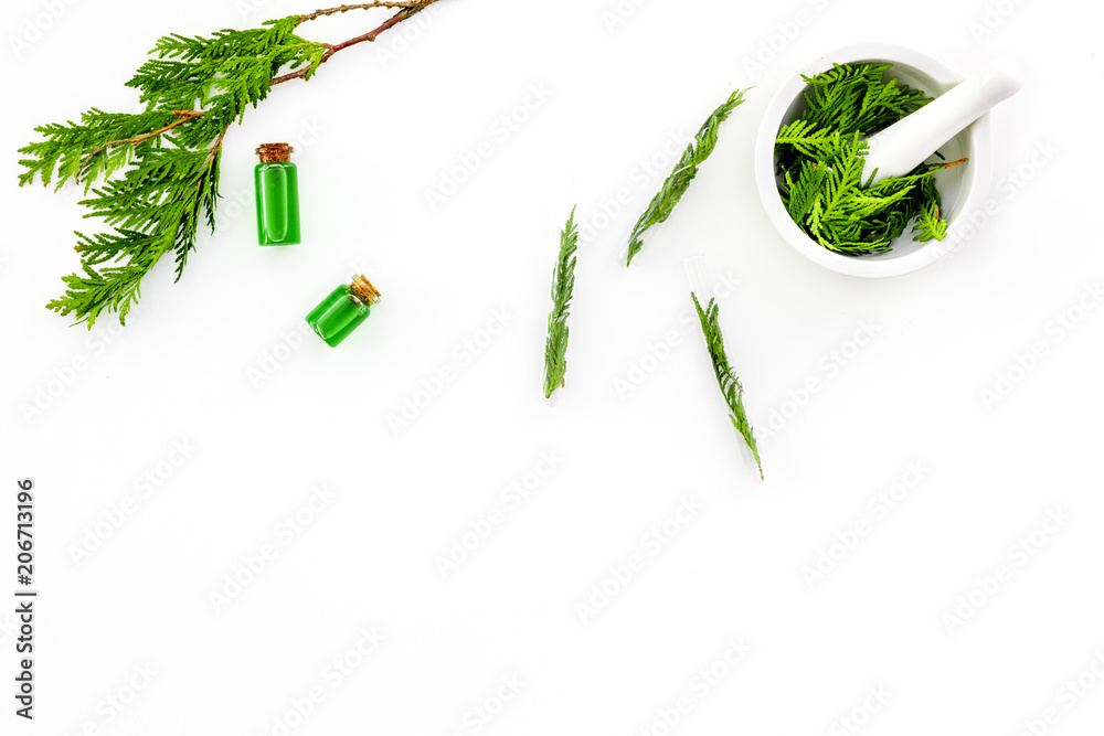 Harvest juniper as medical herbs. Make juniper oil. Juniper sprigs in mortar on white background top view copy space