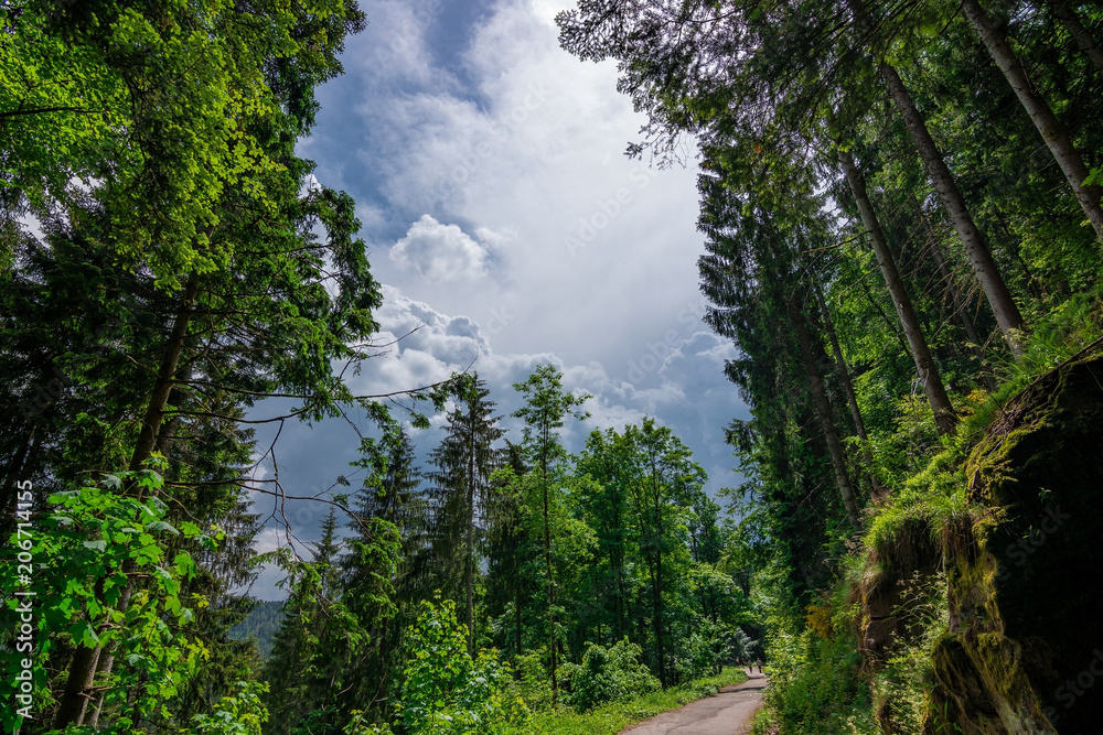 Fototapeta premium A path leading into a stormy cloud. Black Forest / Schwarzwald, Germany