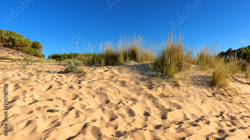 Sardegna, dune di Su Giudeu