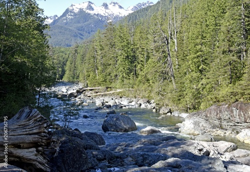 looking downstream the Kennedy River, forest and snow covered mountain peaks in the background; British Columbia Canada