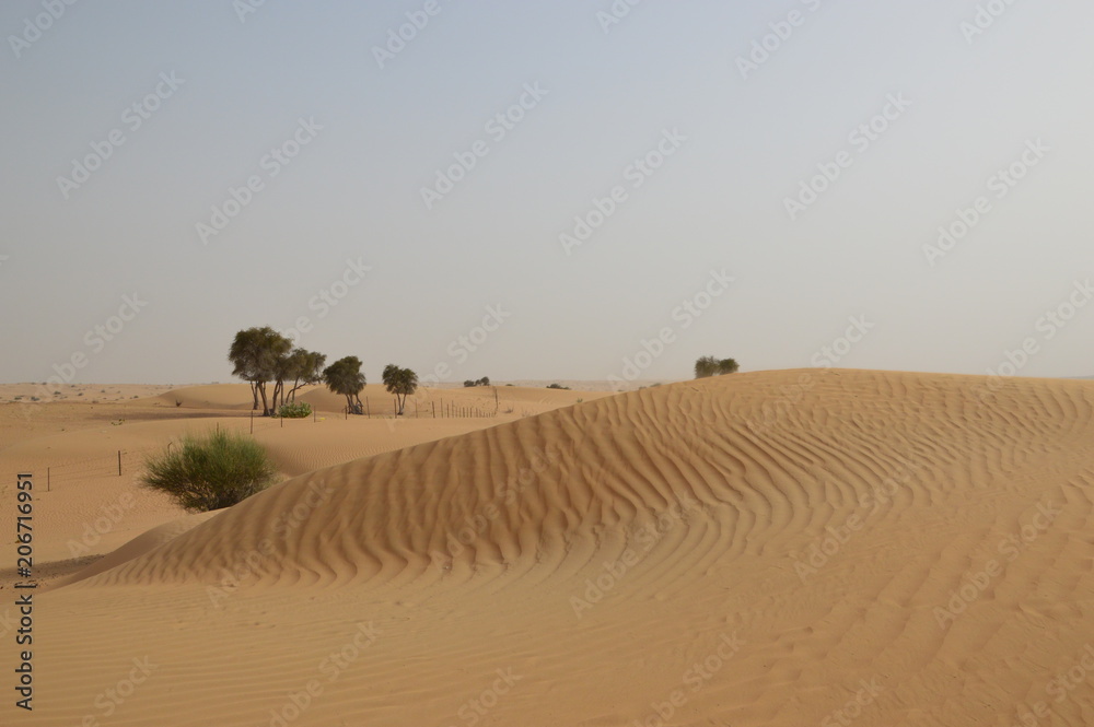 Mysterios east-trip to the United Arab Emirates in may 2018 Mysterios east-trip to the United Arab Emirates in may 2018
